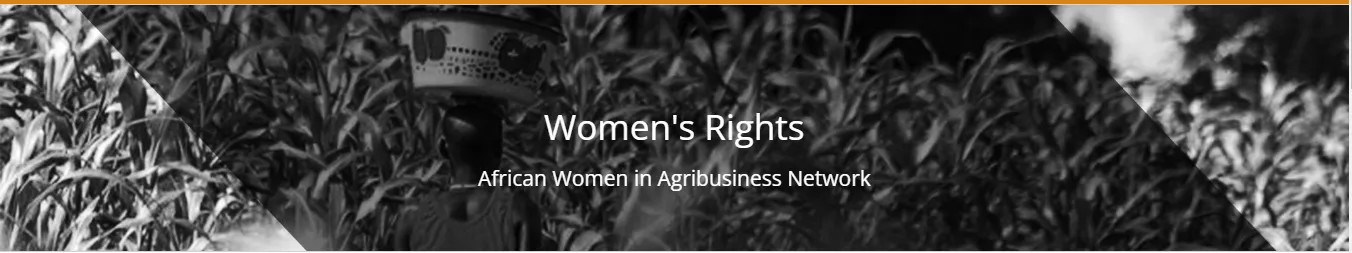 international women's day 